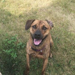 Meet your Posher, Audrey